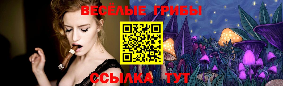 Псилоцибиновые грибы мицелий  Вход с VPN  Псилоцибиновые грибы мухоморы  Чебаркуль 